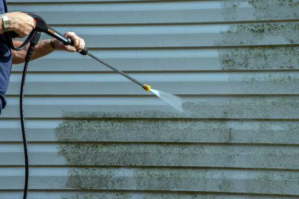 Best Exterior Home Cleaning  in Bourbonnais, IL